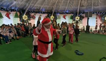 IMG_20241212_105815