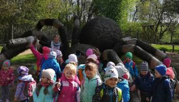 IMG_20180426_102109