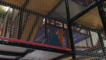 IMG_20250219_092446