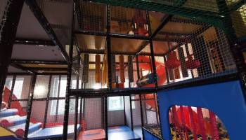 IMG_20250219_092617