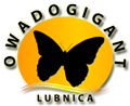 Owadogigant Rodzinny Park Rozrywki w Lubnicy