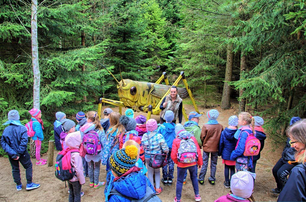 Zielone szkoły w Parku Owadów w Lubnicy