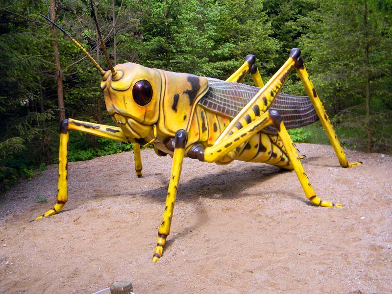 Gigantyczny owad w Parku Owadów w Lubnicy