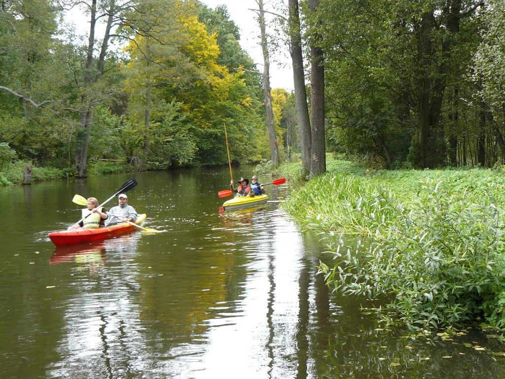 Spływy Kajakowe