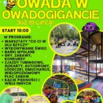 XV Dzień Owada